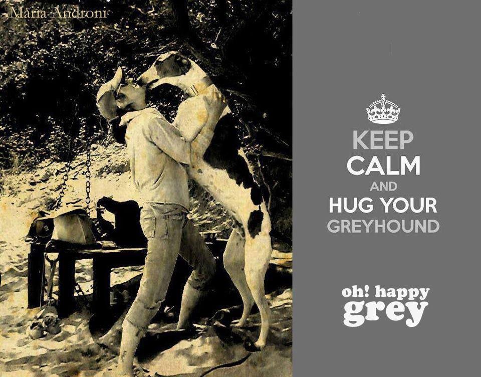 https://angelsbark.files.wordpress.com/2014/03/hug-your-greyhound.jpg