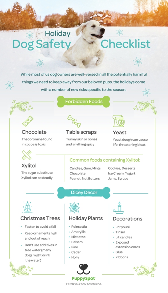 Holiday Safety Checklist for Dogs